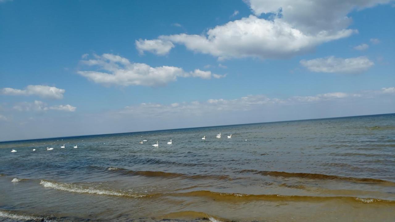 House, Garden & Sauna. Free Parking. Train Stop-200 M. Sea-1 Km. Jūrkalne Εξωτερικό φωτογραφία