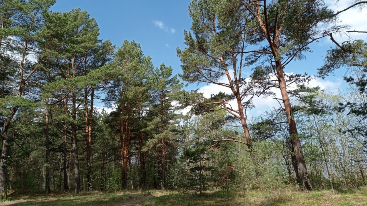 House, Garden & Sauna. Free Parking. Train Stop-200 M. Sea-1 Km. Jūrkalne Εξωτερικό φωτογραφία